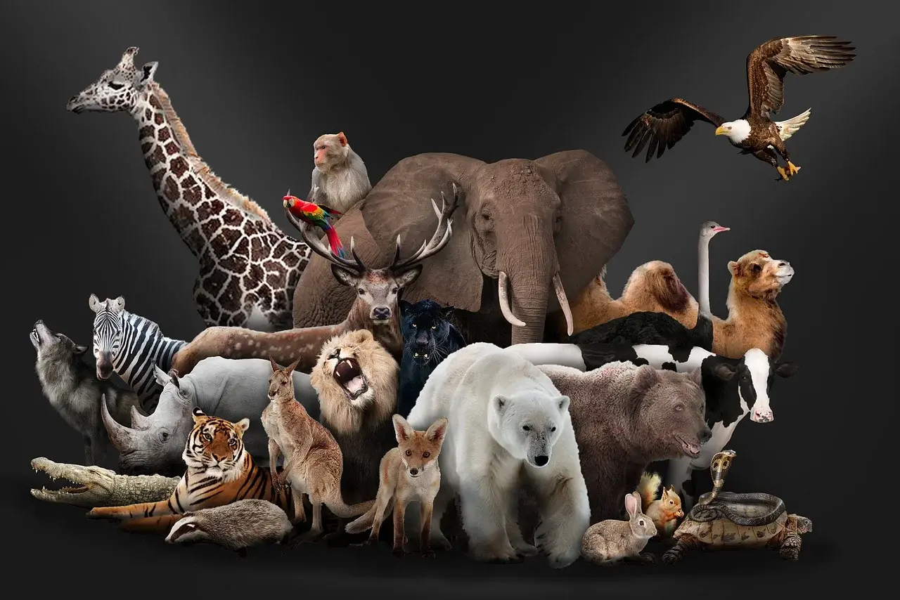 savetheanimal