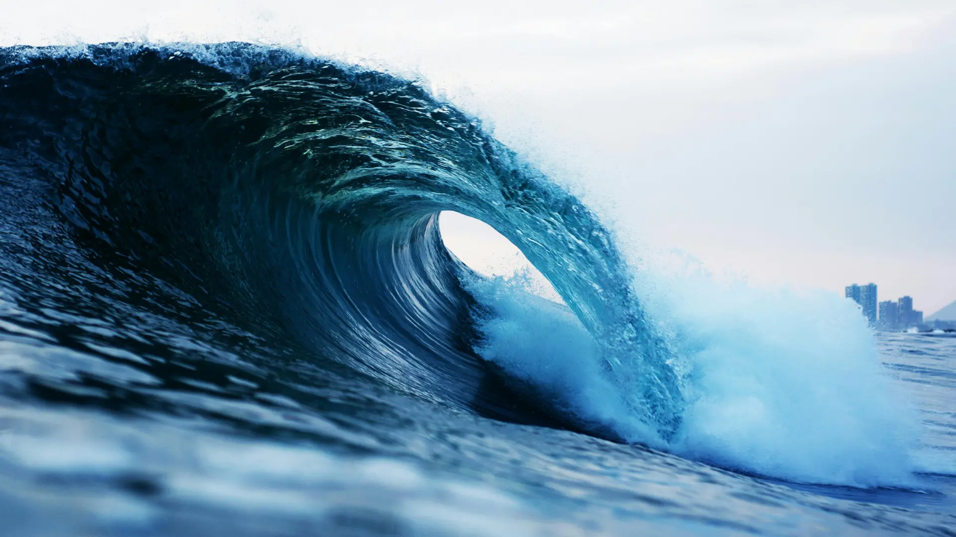 savetheocean